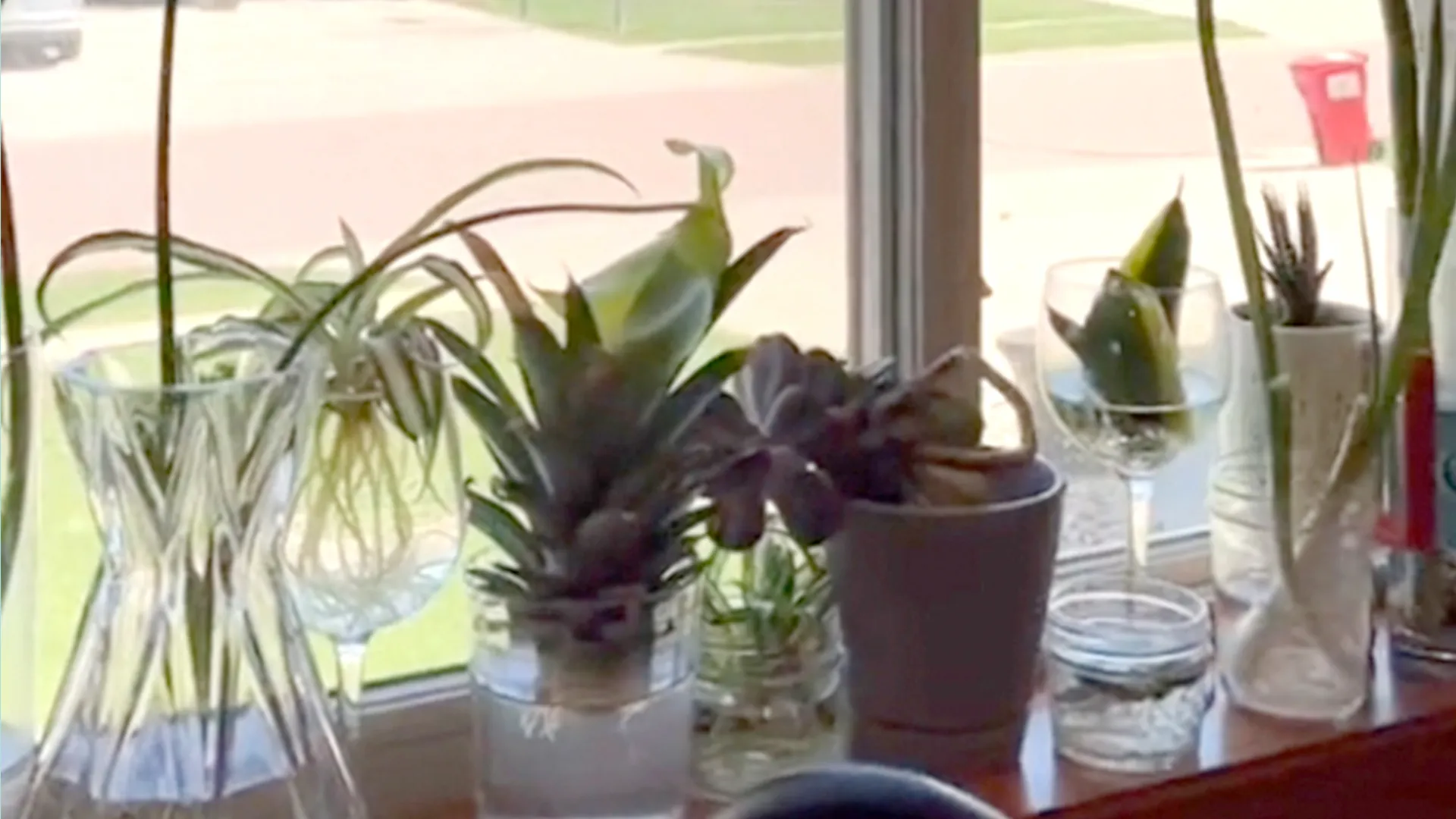 13226 thrift store kitchen finds