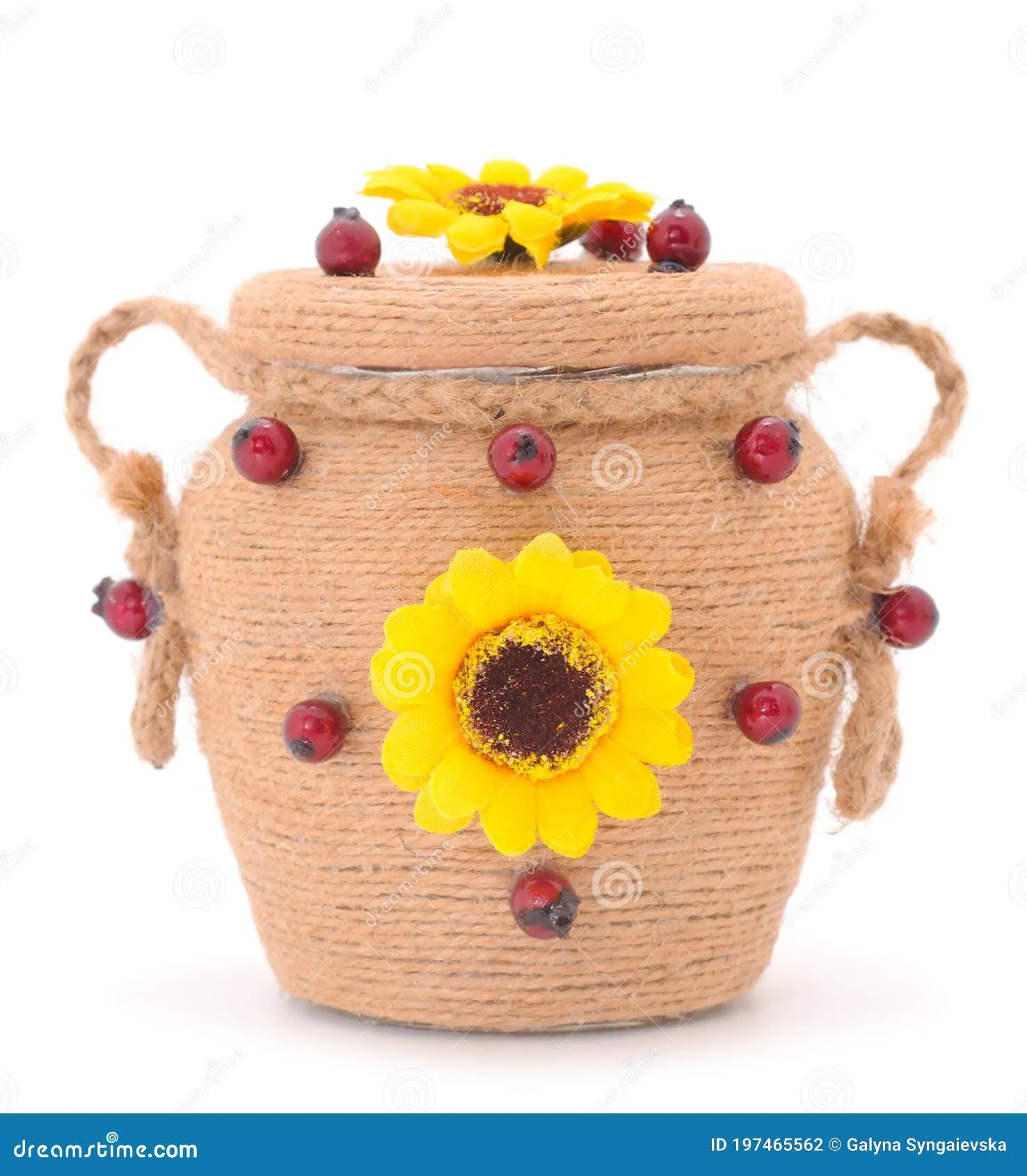 13313 kitchen oil bottle style