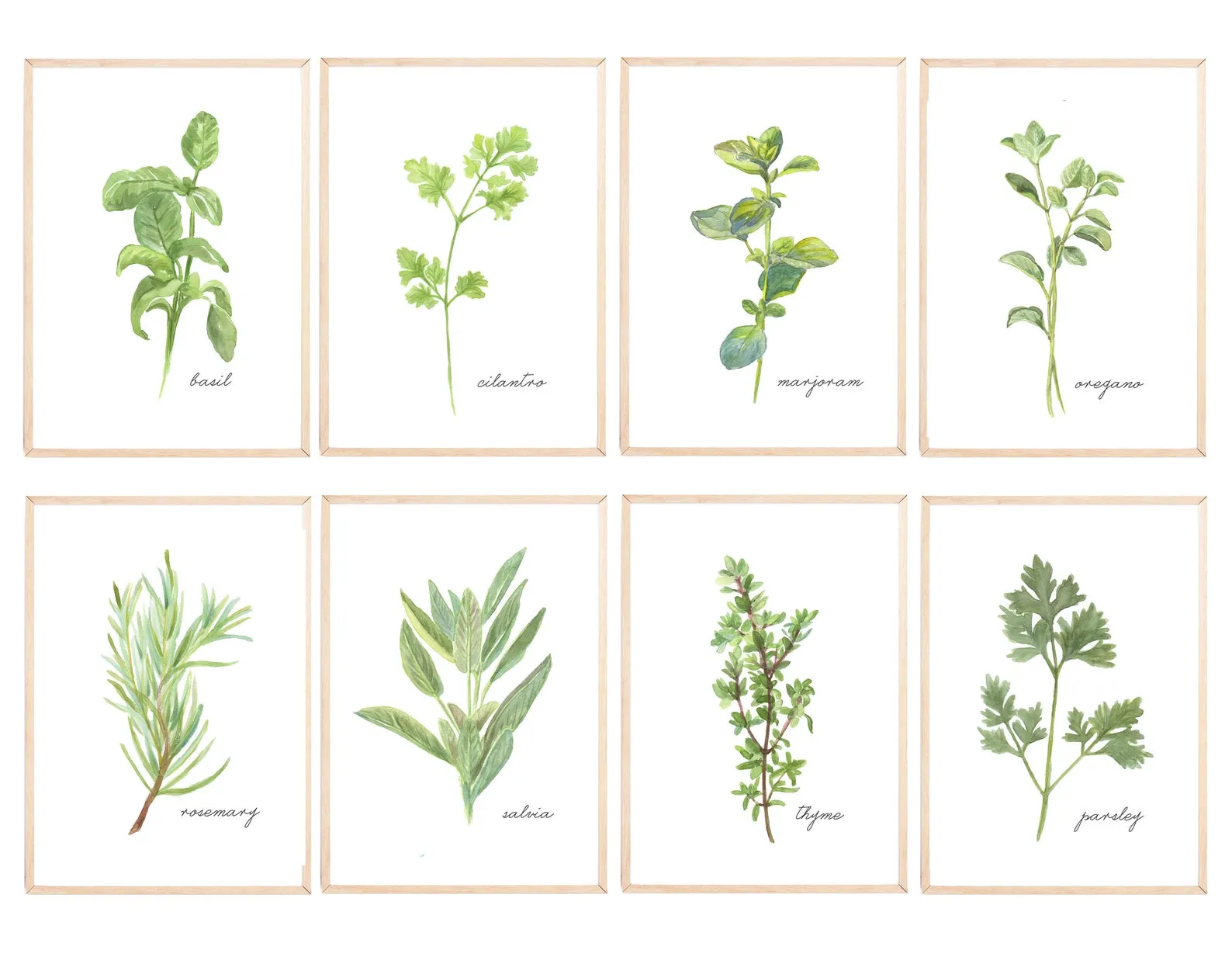 13463 herb print accessories