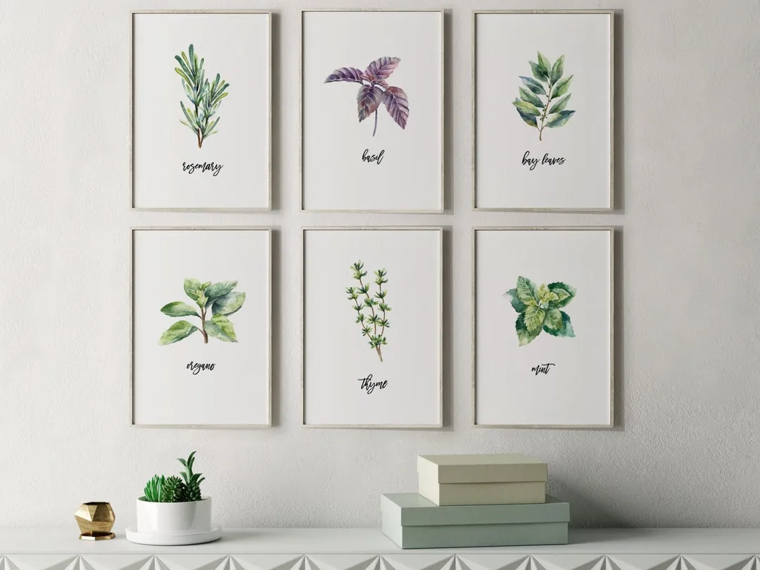 13463 herb print frames