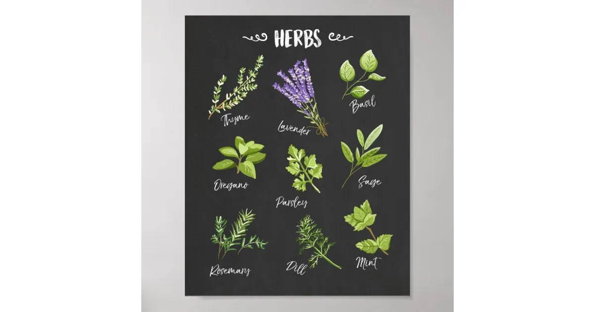 13463 herb print kitchen decor intro