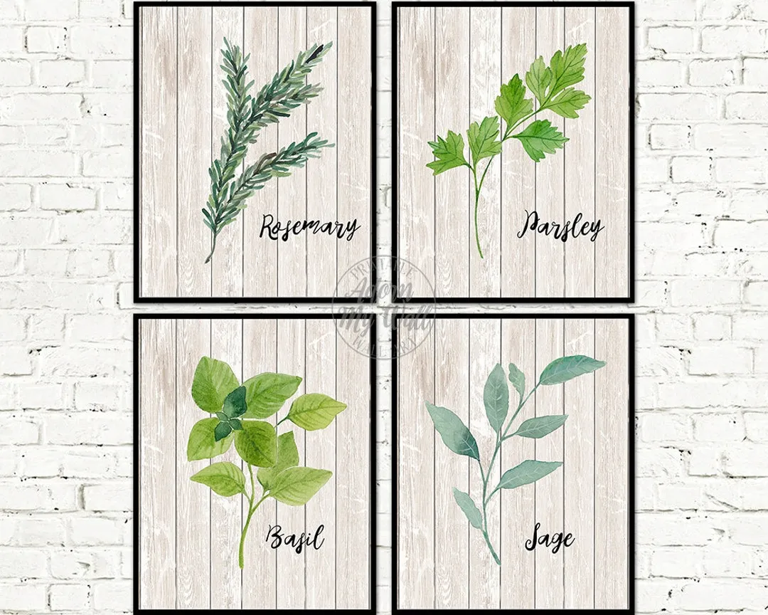 13463 herb print wall art